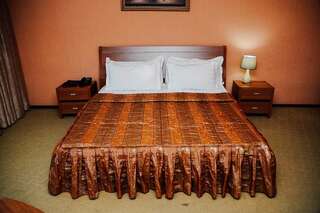 Отель Достык отель Шымкент Двухместный номер Делюкс с 1 кроватью-3